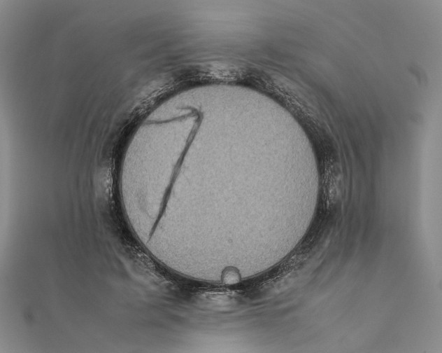 X0000111880595200908131635