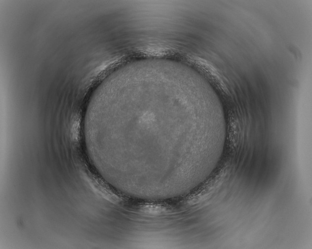 X0000111880596200908131635