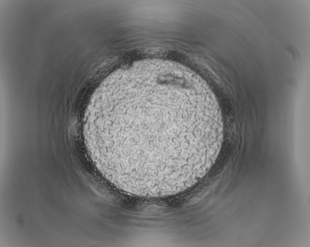 X0000111880597200908131635