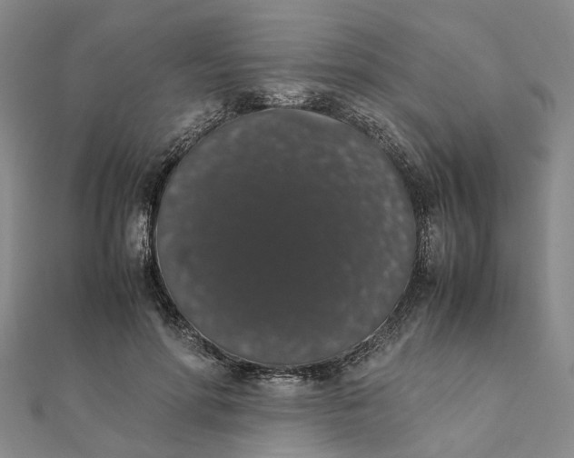 X0000111880598200908131635