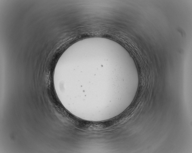 X0000111880599200908131635