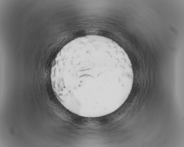 X0000111880601200908131635