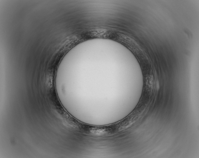 X0000111880602200908131635