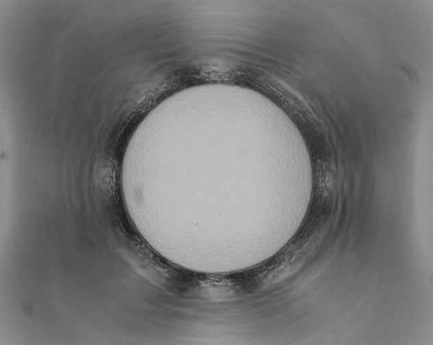 X0000111880603200908131635