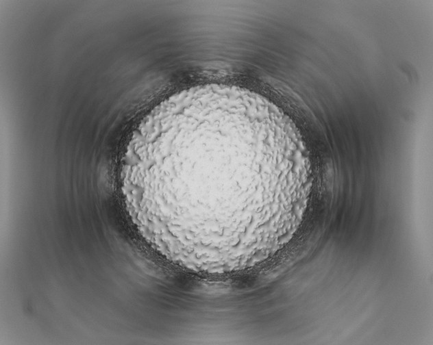 X0000111880606200908131635