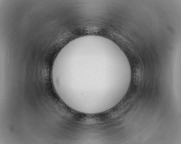 X0000111880608200908131635