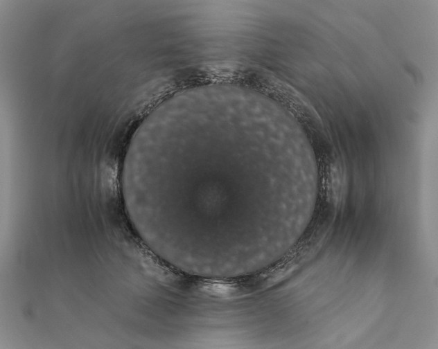 X0000111880610200908131635