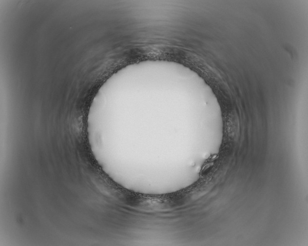 X0000111880611200908131635