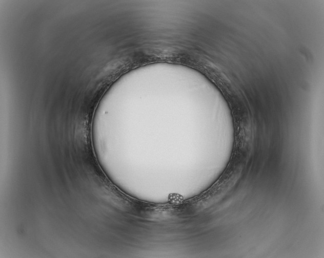 X0000111880612200908131635