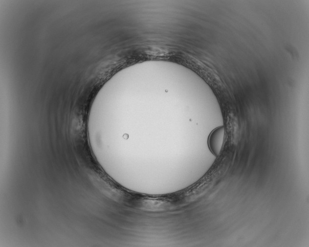 X0000111880614200908131635