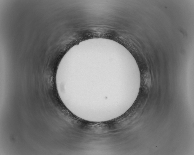 X0000111880615200908131635