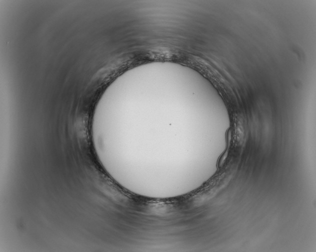 X0000111880616200908131635