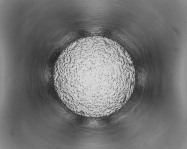 X0000111880618200908131635