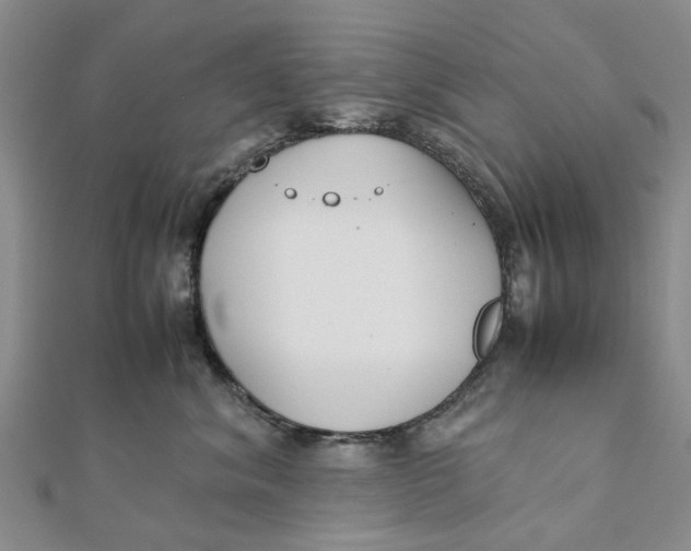 X0000111880620200908131635