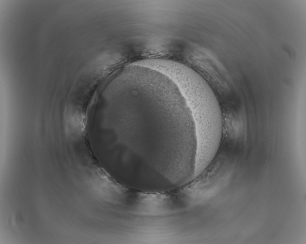 X0000111880621200908131635