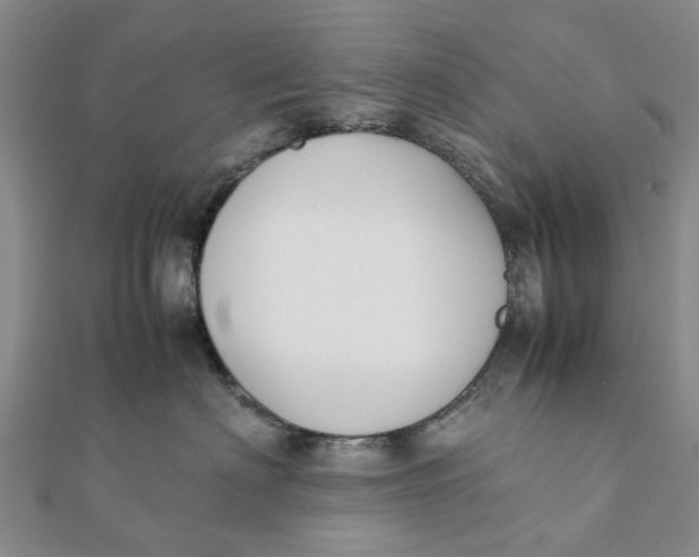 X0000111880622200908131635