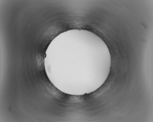 X0000111880624200908131635