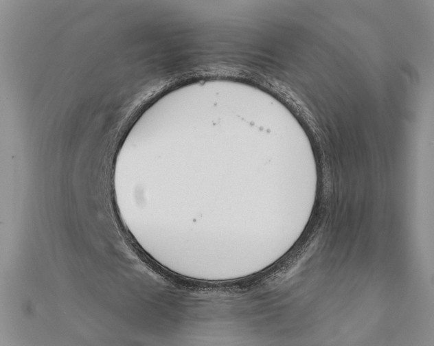 X0000111880625200908131634