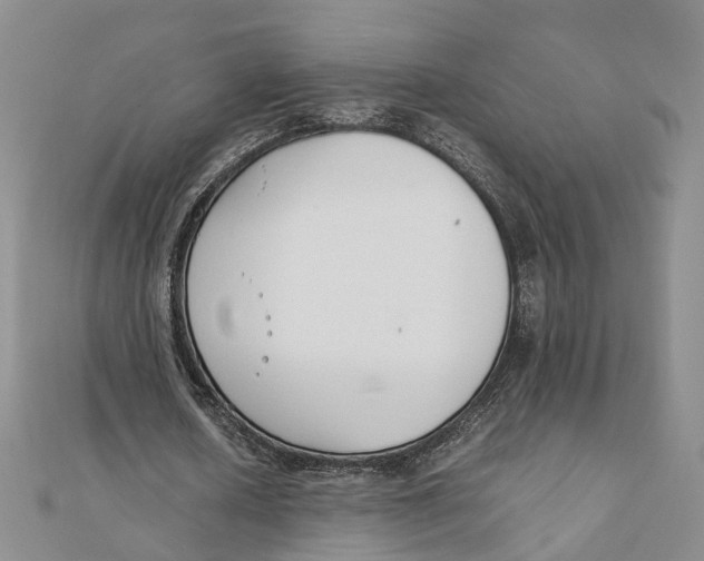 X0000111880626200908131634