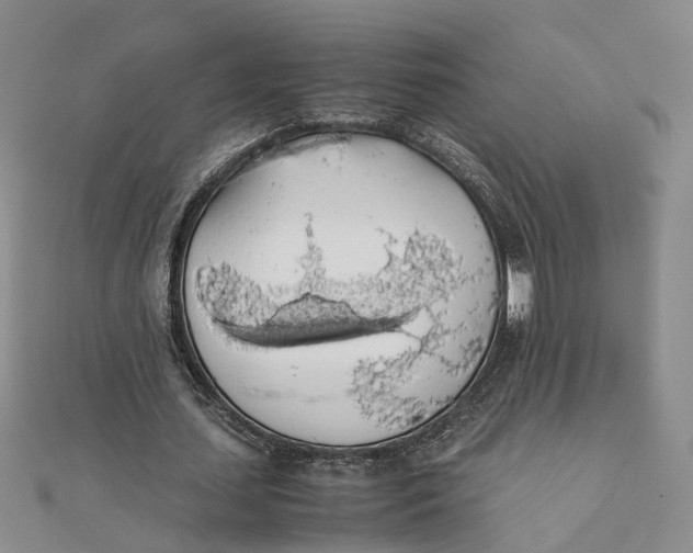 X0000111880627200908131634