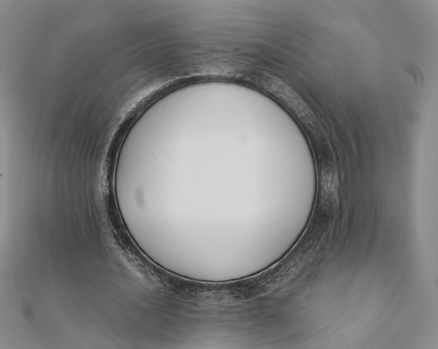 X0000111880628200908131634