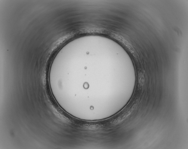 X0000111880629200908131634