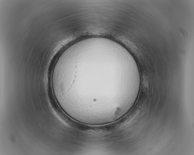 X0000111880630200908131634