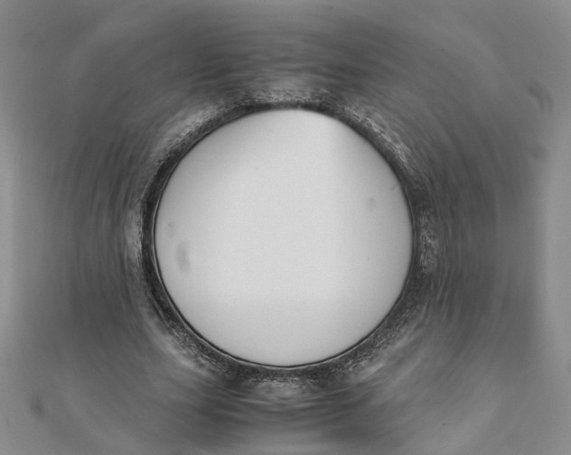 X0000111880631200908131634