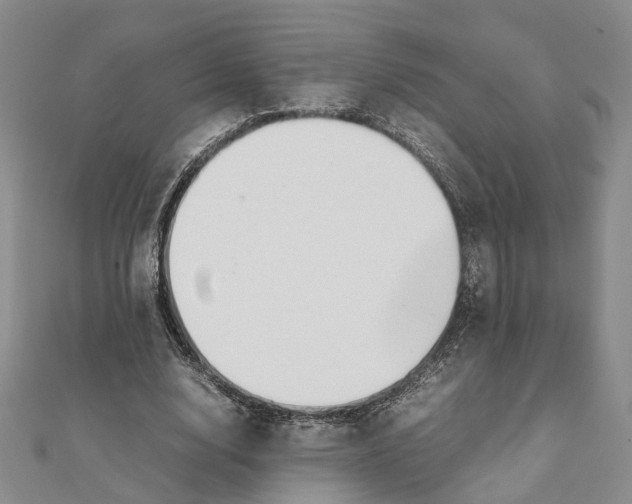 X0000111880632200908131634