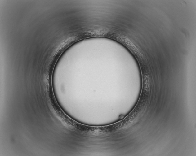 X0000111880634200908131634