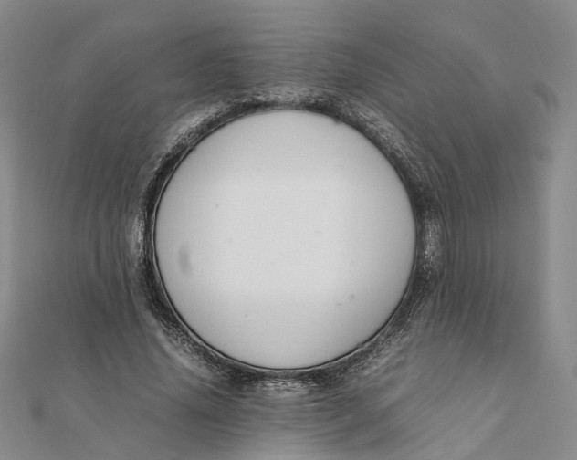 X0000111880636200908131634