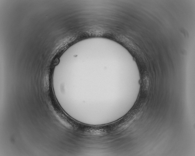 X0000111880638200908131634