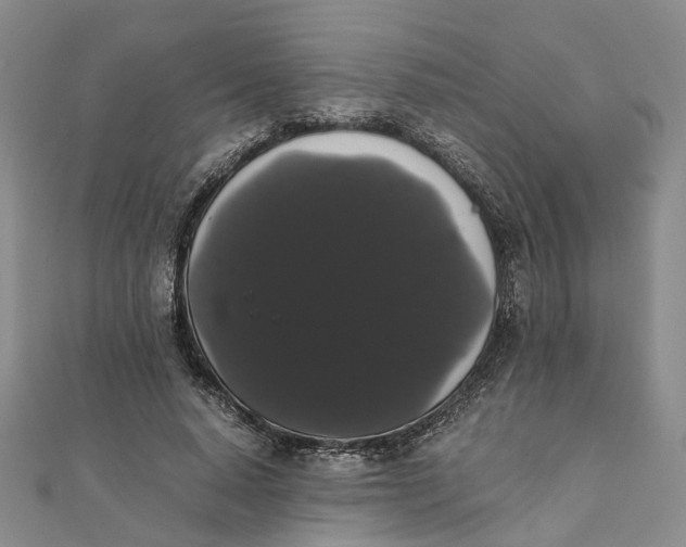 X0000111880640200908131634