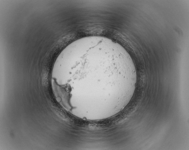 X0000111880641200908131634