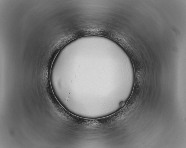 X0000111880642200908131634