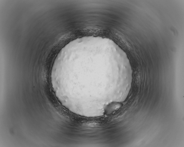 X0000111880643200908131634