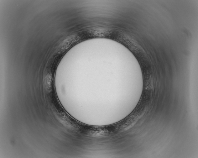 X0000111880646200908131634