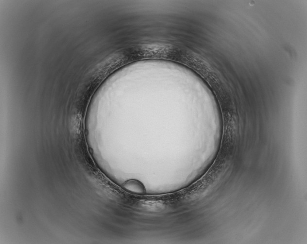 X0000111880649200908131634