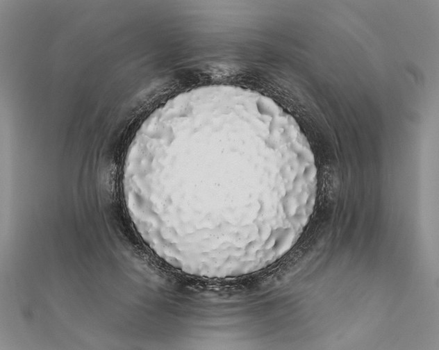 X0000111880650200908131634