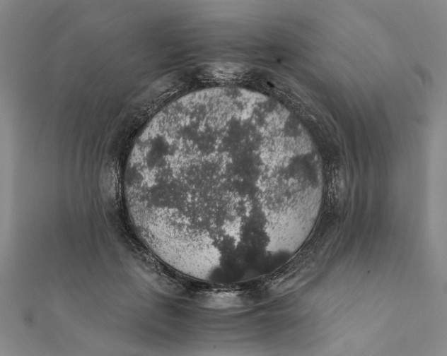 X0000111880651200908131634