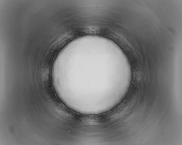 X0000111880652200908131634