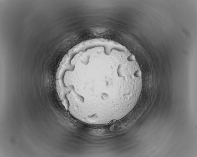 X0000111880653200908131634