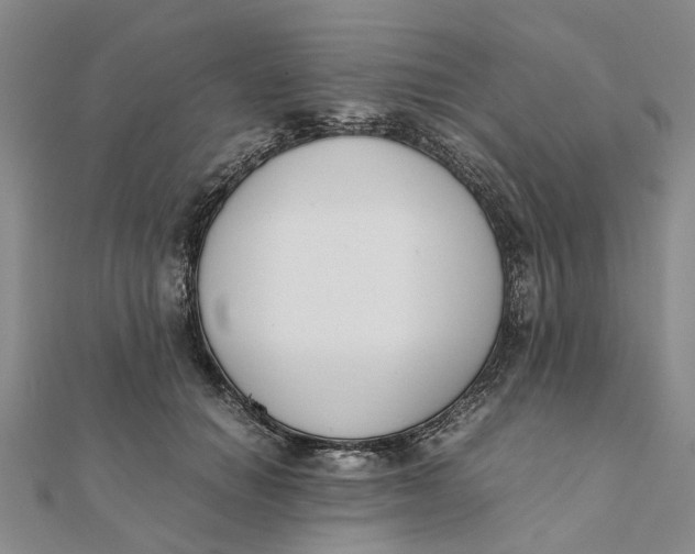 X0000111880654200908131634