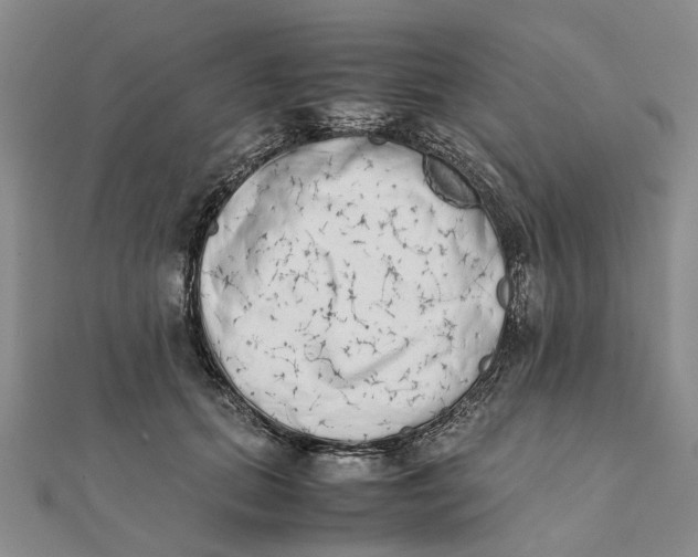 X0000111880655200908131634