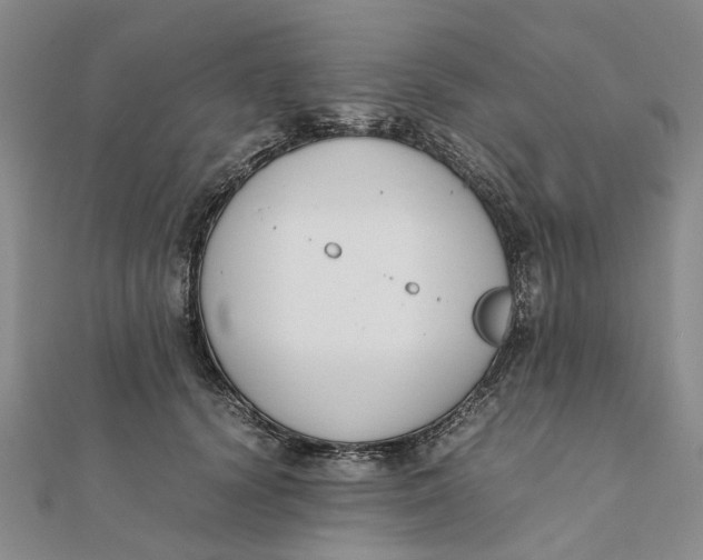 X0000111880656200908131634