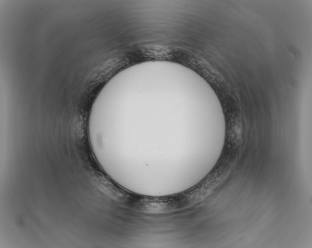 X0000111880658200908131634