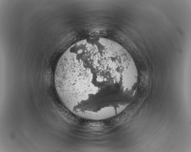 X0000111880659200908131634