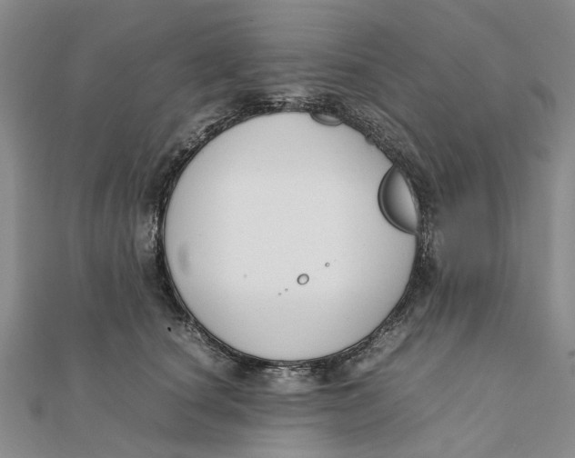 X0000111880660200908131634