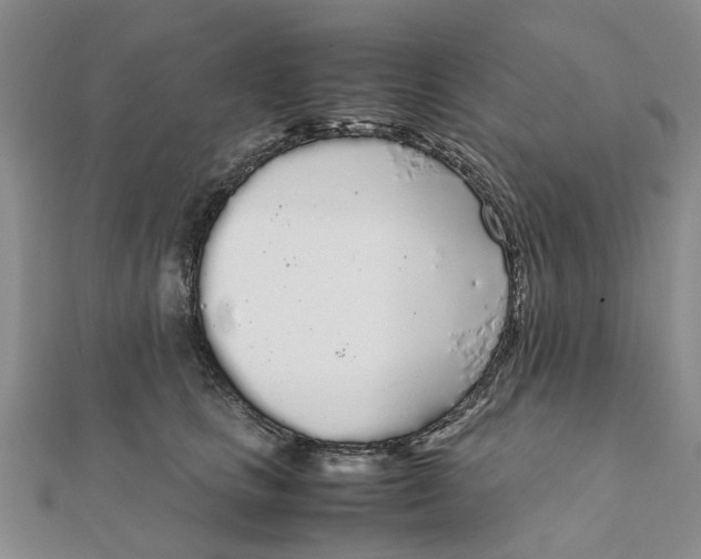 X0000111880661200908131635