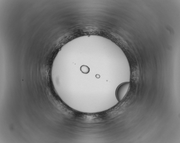 X0000111880662200908131635